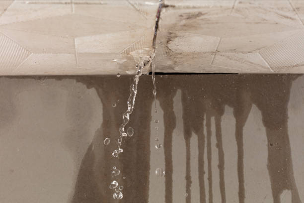 Professional Sewage Cleanup technician working in Harrisville, PA